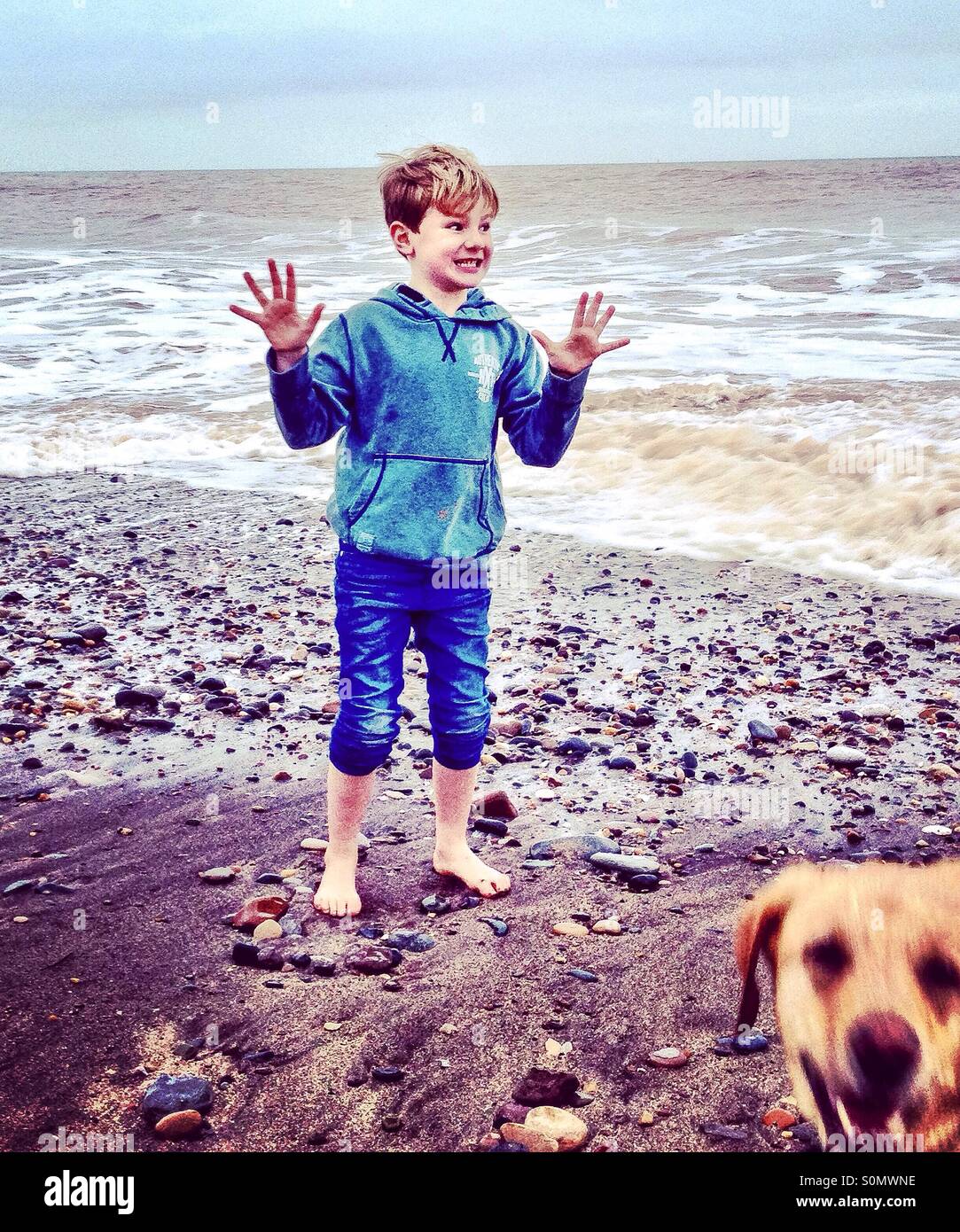 Garçon sur une plage d'être photobombed par chien. Banque D'Images