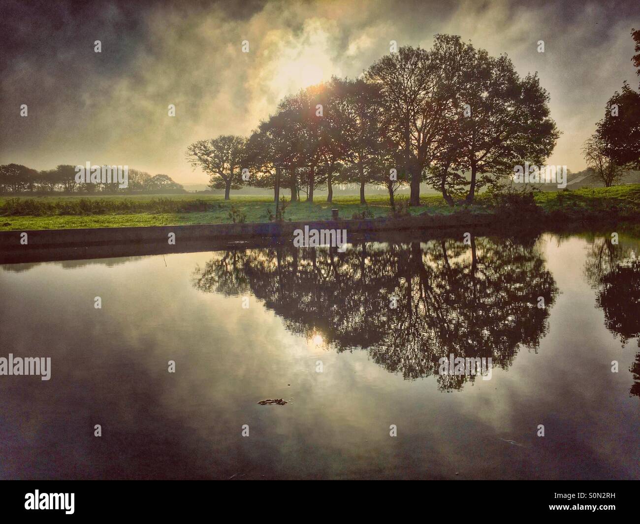 Arbres se reflétant dans l'eau avec un soleil du matin brumeux Banque D'Images