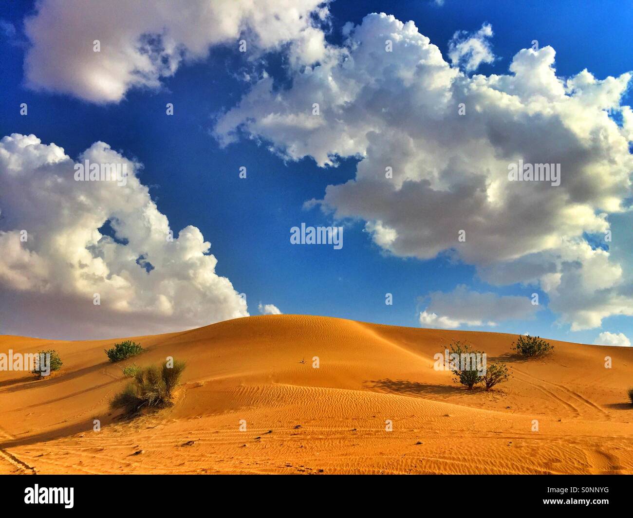 Desert view Dubaï ÉMIRATS ARABES UNIS Banque D'Images
