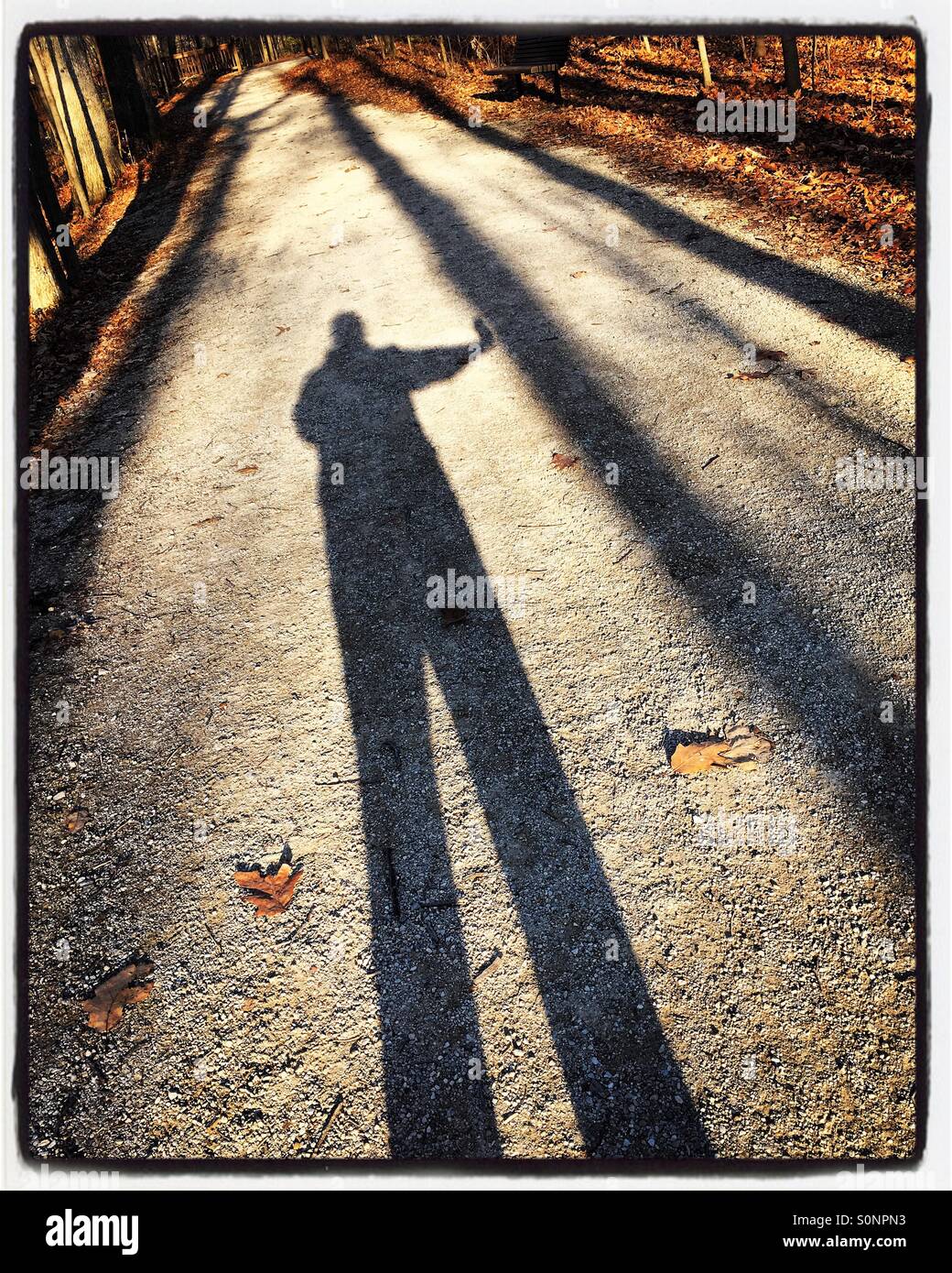 De longues ombres. selfies Banque D'Images