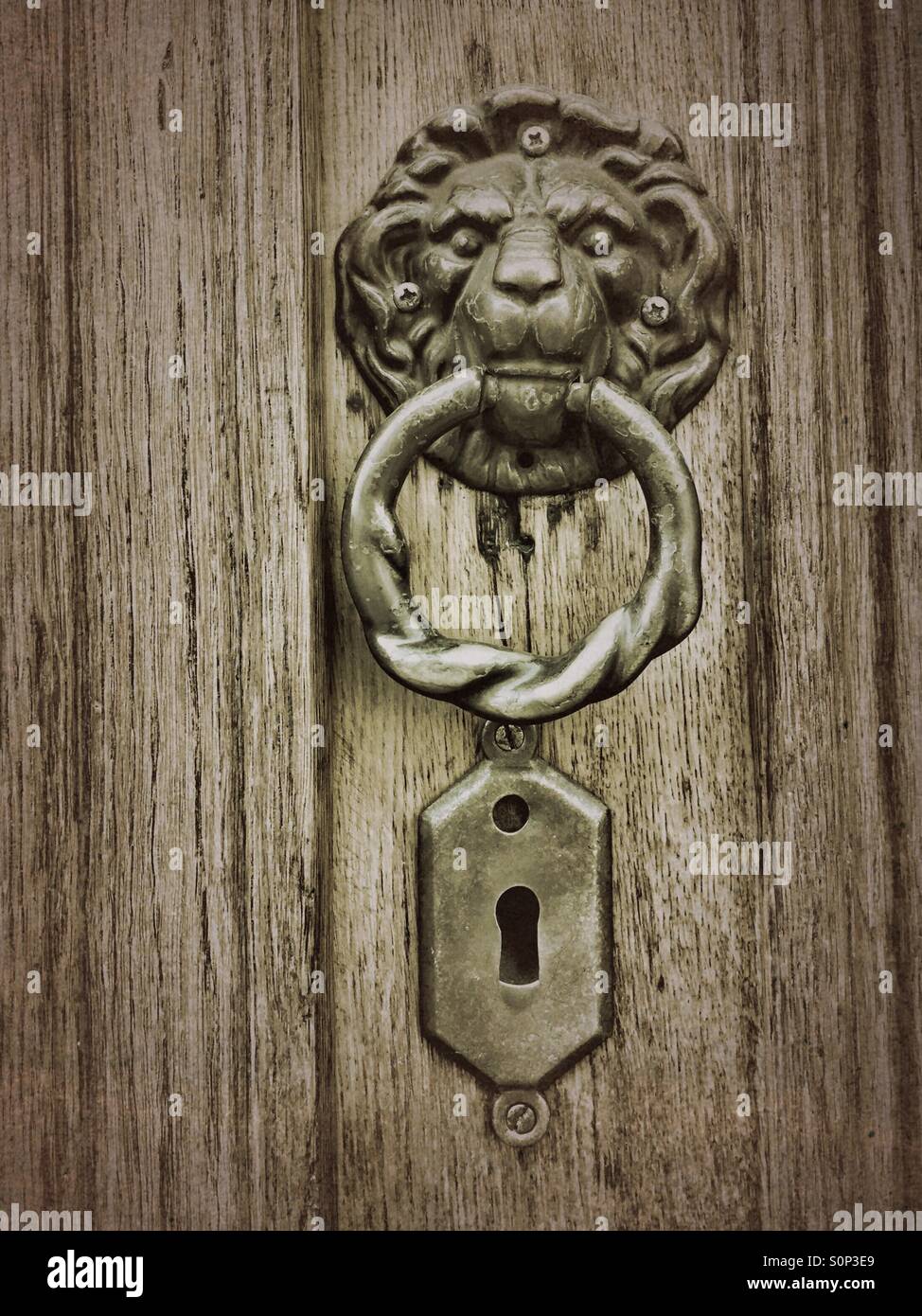 Heurtoir en forme de tête de lion - Image de stock capturée avec un smartphone