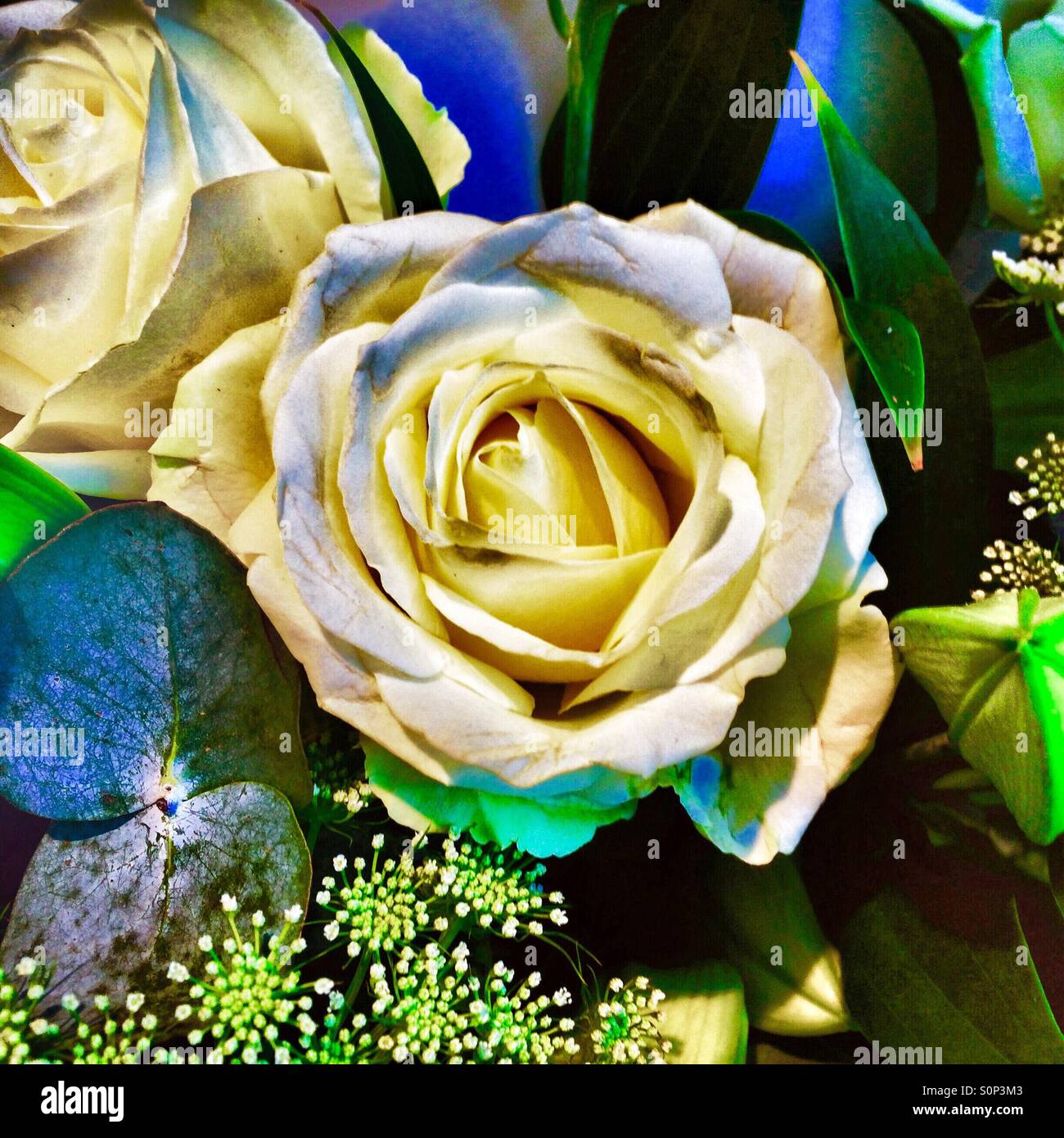Bouquet de rose jaune Banque D'Images