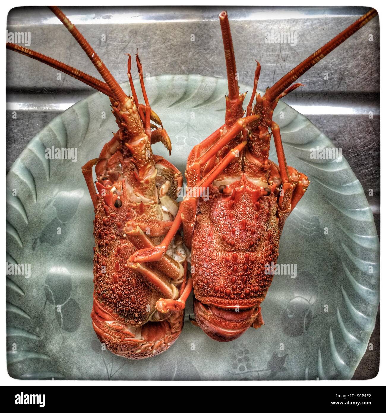 Les langoustes du Cap cuits dans un bol. - Image de stock capturée avec un smartphone