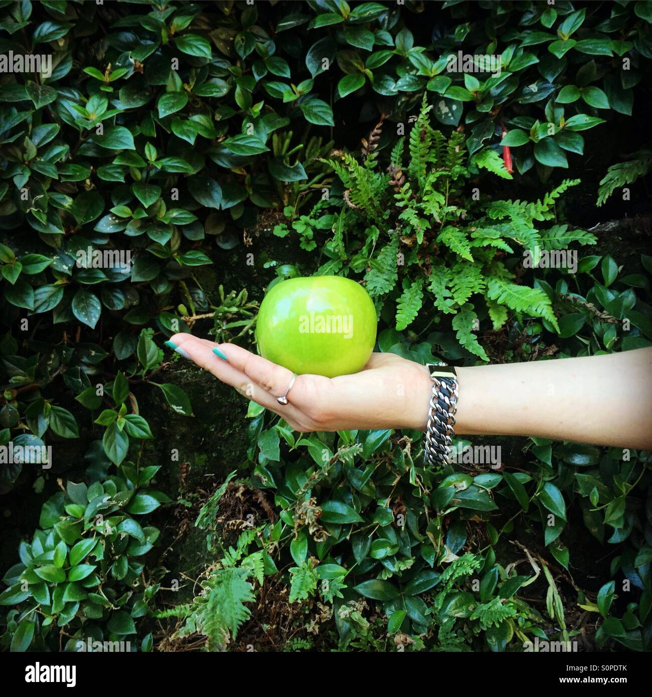 Green Apple sur la paume de la main d'une jeune fille avec le mur vivant Banque D'Images