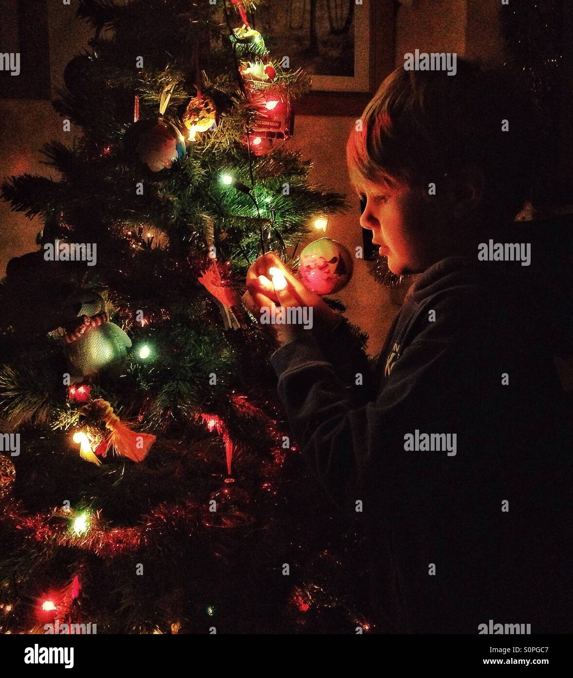 Garçon à la recherche de lumières sur un arbre de Noël. Banque D'Images