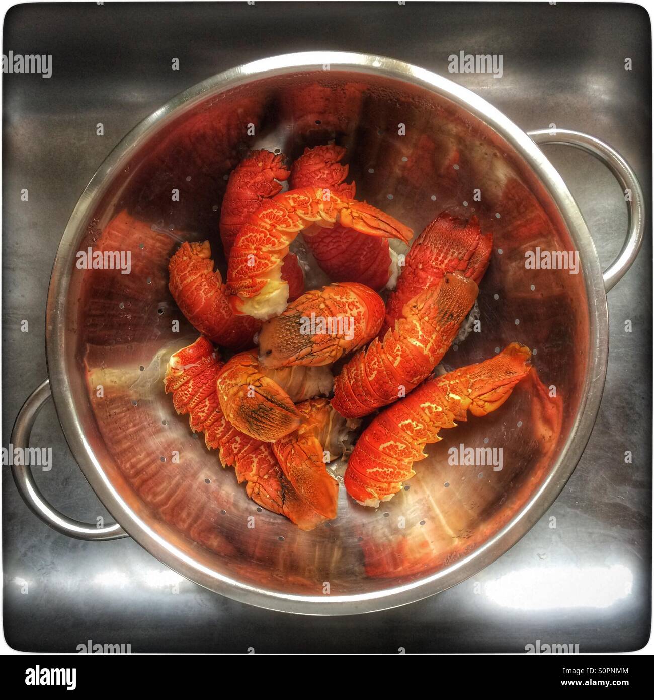 Queues de homard cuit dans une passoire. - Image de stock capturée avec un smartphone