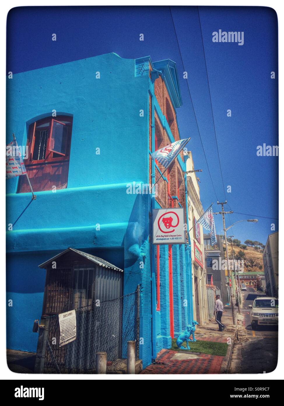 AtFrits Hôtel Chien et garderie, Cape Town, Afrique du Sud. Banque D'Images