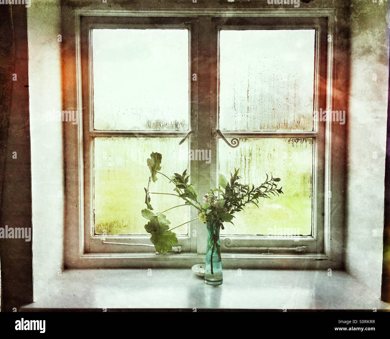 Un vase de fleurs à la fenêtre Banque D'Images