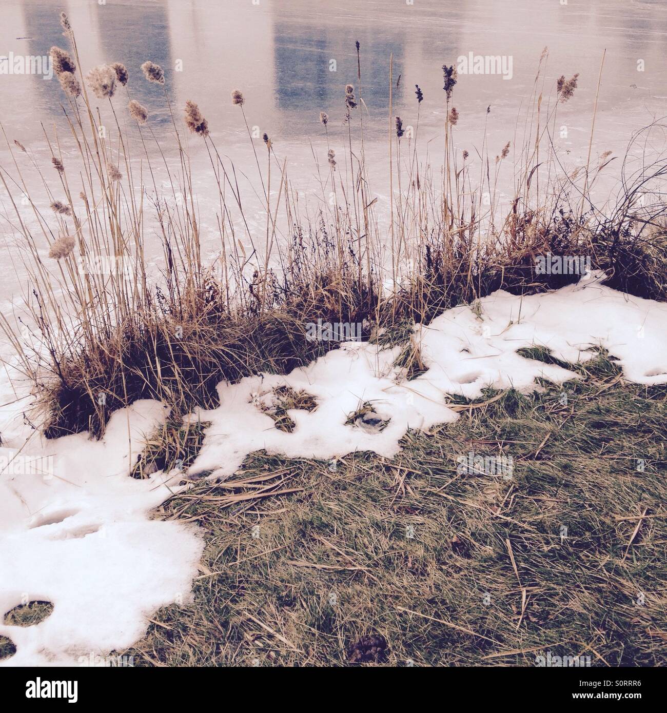 L'hiver - Image de stock capturée avec un smartphone