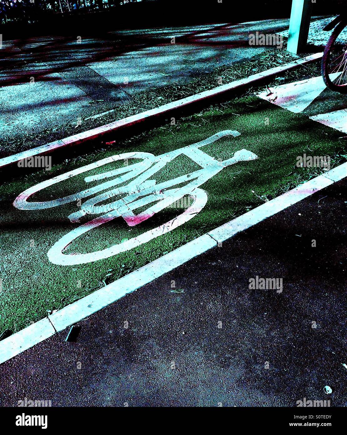 Vélos de route Banque D'Images