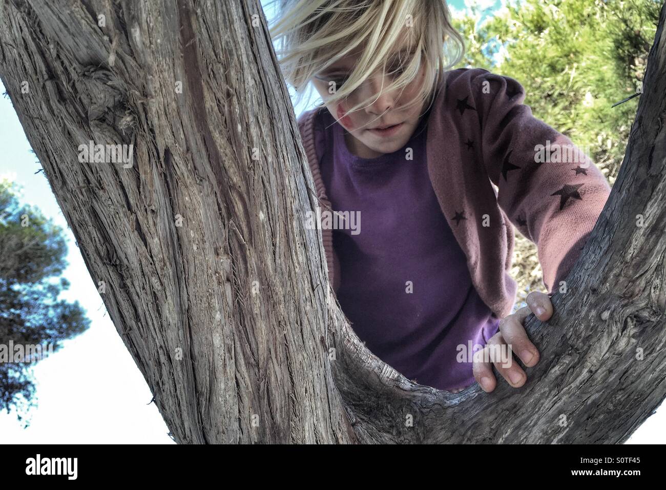 Girl climbing un arbre Banque D'Images