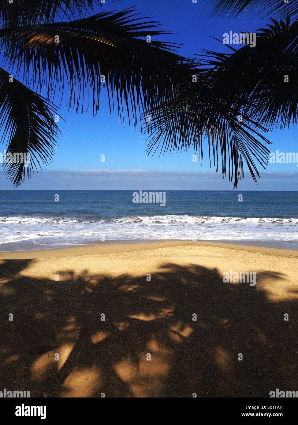 Palmiers sur la plage du Pacifique. Sayulita, Mexique. - Image de stock capturée avec un smartphone