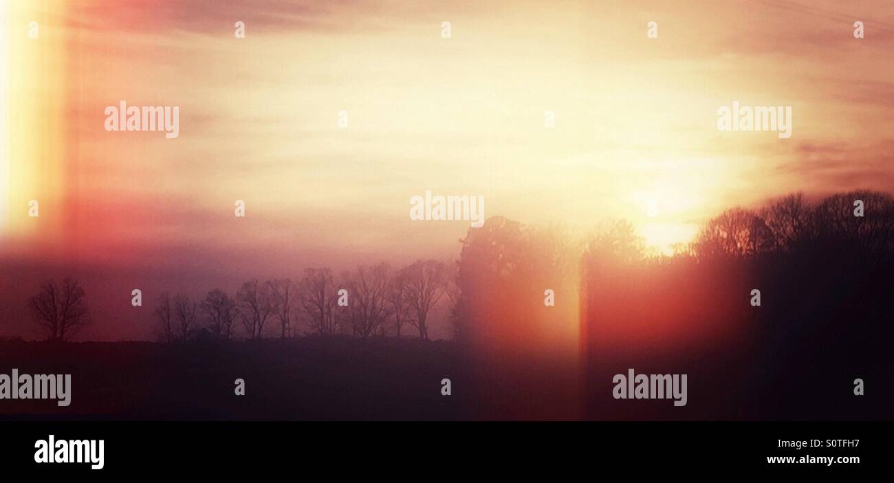 Coucher de soleil et arbres, soft focus et les effets de lumière Banque D'Images