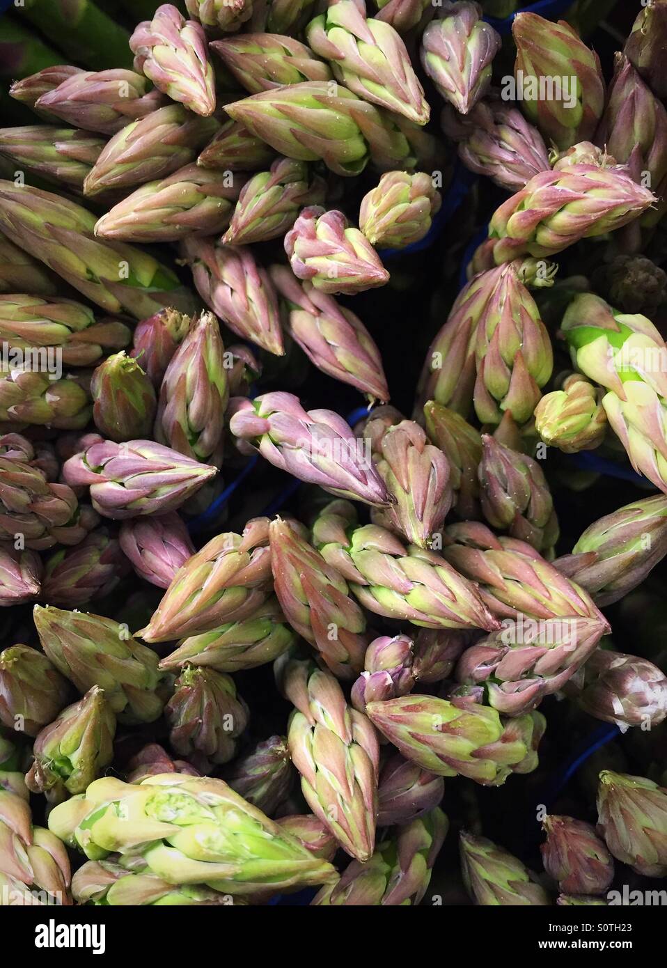 D'asperge close up - Image de stock capturée avec un smartphone