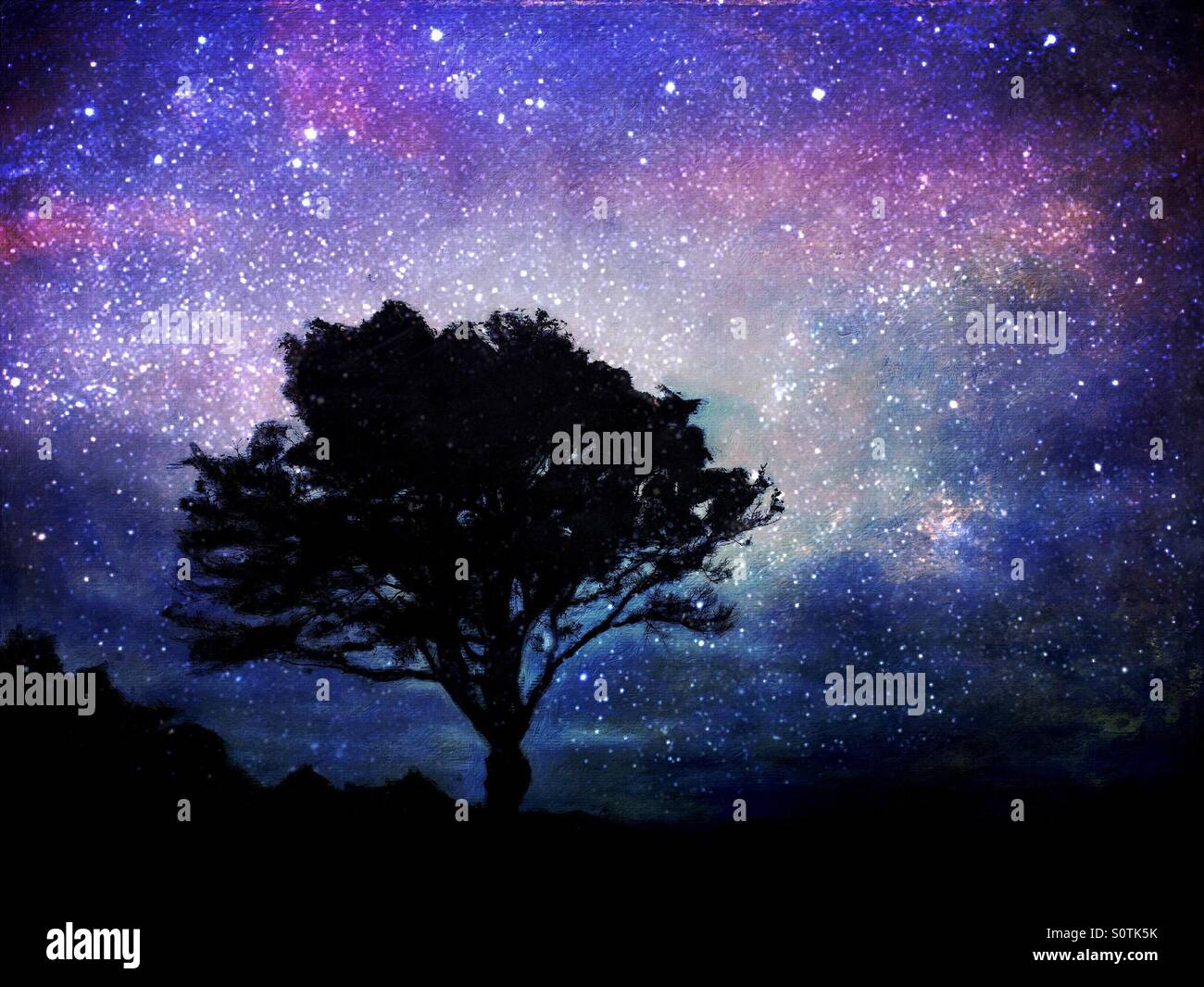 Arbre En Silhouette Avec Un Ciel Etoile Ciel Bleu Violet Photo Stock Alamy