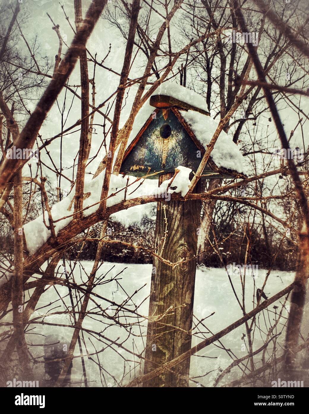 Une cabane bleue sur un jour de neige. - Image de stock capturée avec un smartphone