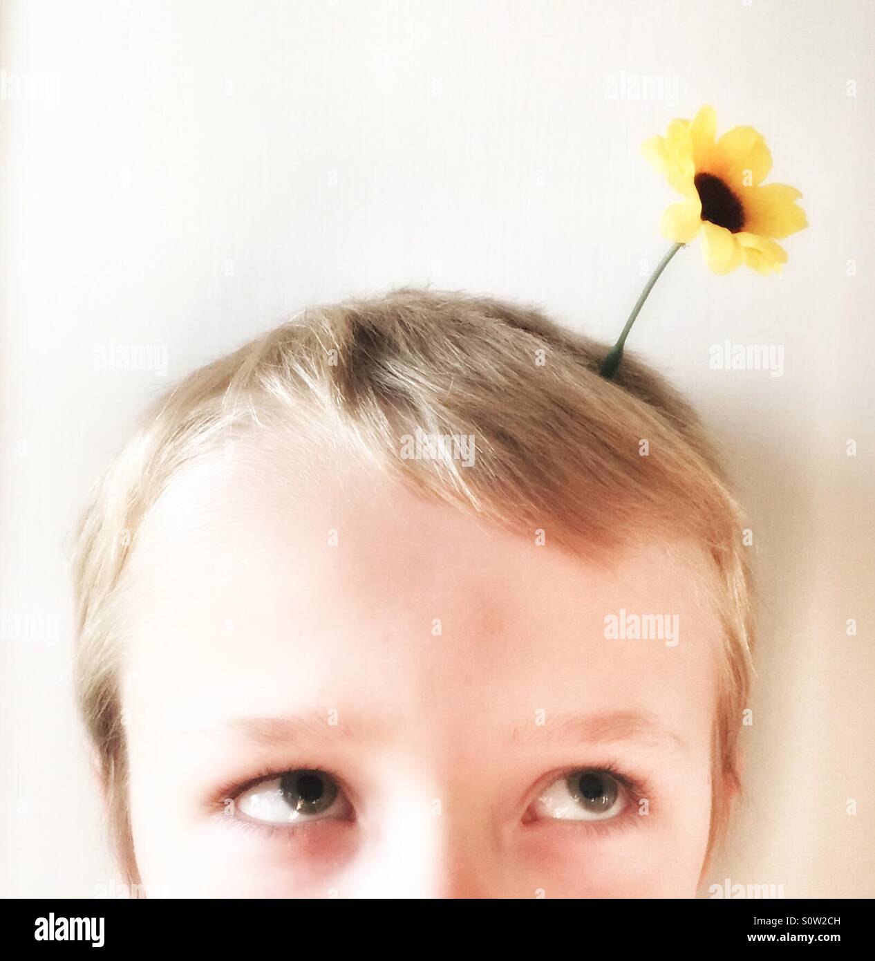 Jeune garçon avec des idées brillantes, le printemps est dans les cheveux. Portrait d'un jeune garçon avec une fleur dans ses cheveux. Pensez à l'environnement. Banque D'Images