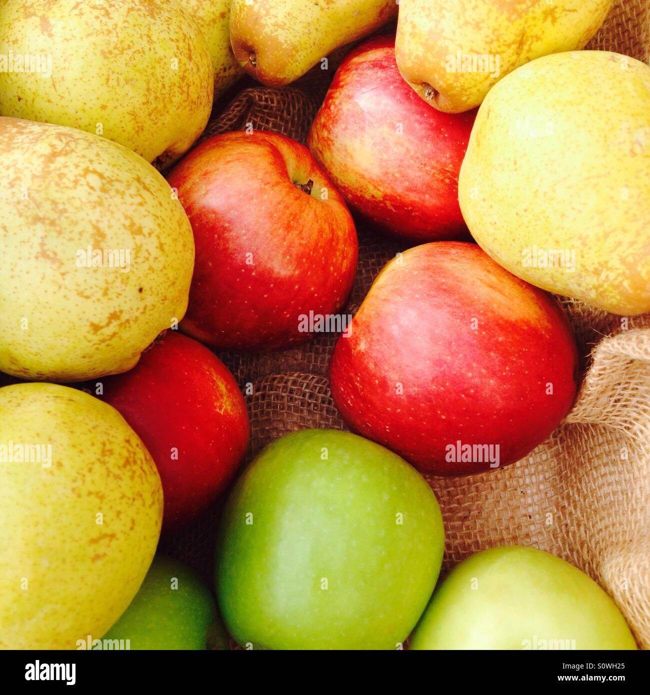 Panier de fruits dans les fruits colorés mixtes pommes et poires Banque D'Images