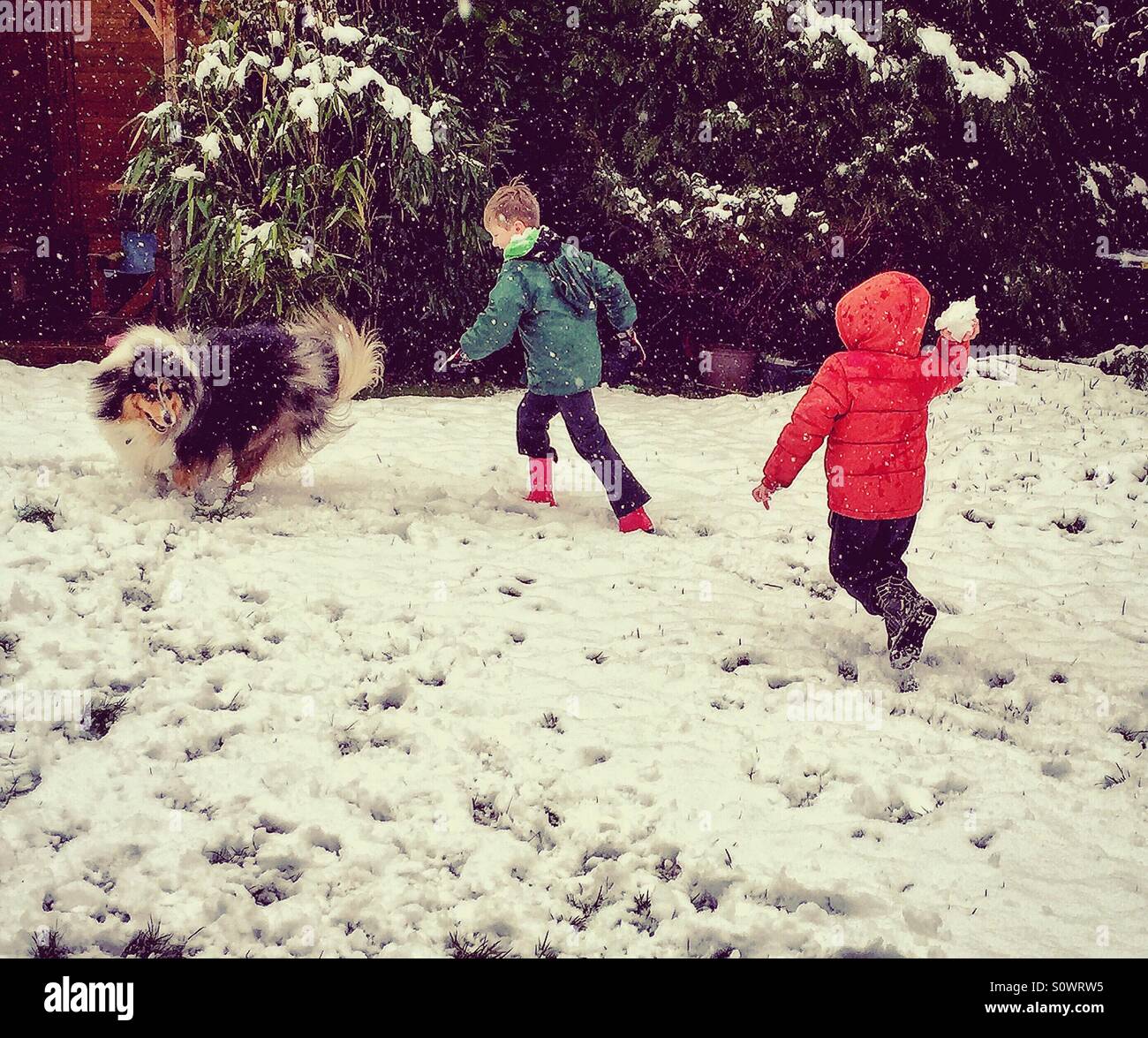 Le chien et les enfants jouant dans la neige Banque D'Images