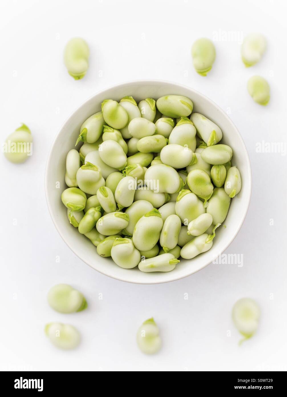 Pure et simple des légumes frais. Un bol plein de fèves fraîches sur un fond blanc. - Image de stock capturée avec un smartphone