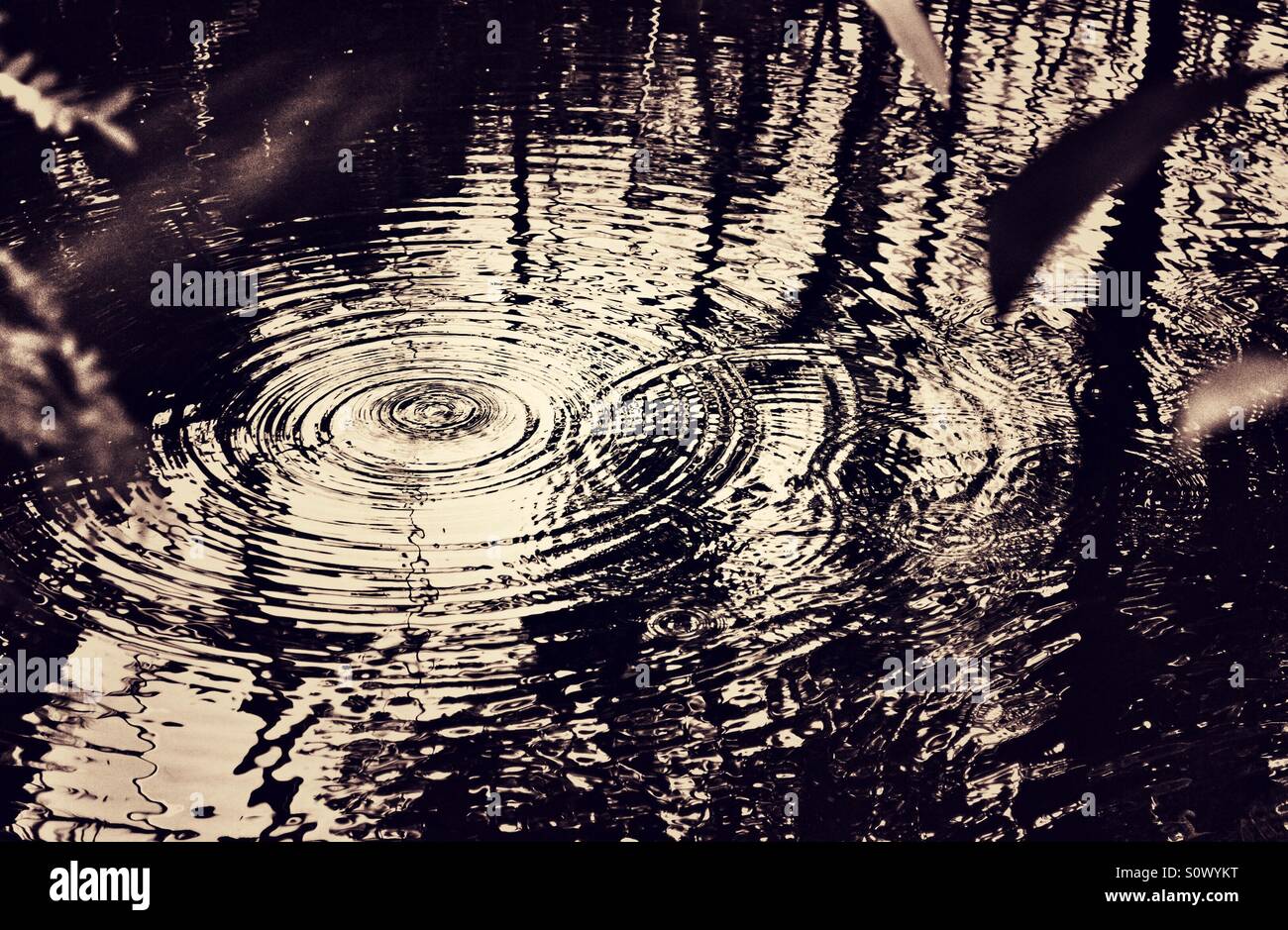Gouttes de pluie sur une piscine de l'eau - Image de stock capturée avec un smartphone