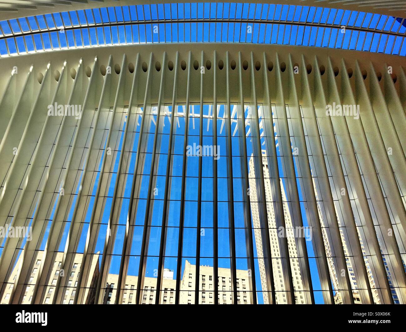 Gratte-ciel dans le quartier financier peut être vu à travers les murs de verre de l'oculus au World Trade Center transportation hub, NYC - Image de stock capturée avec un smartphone