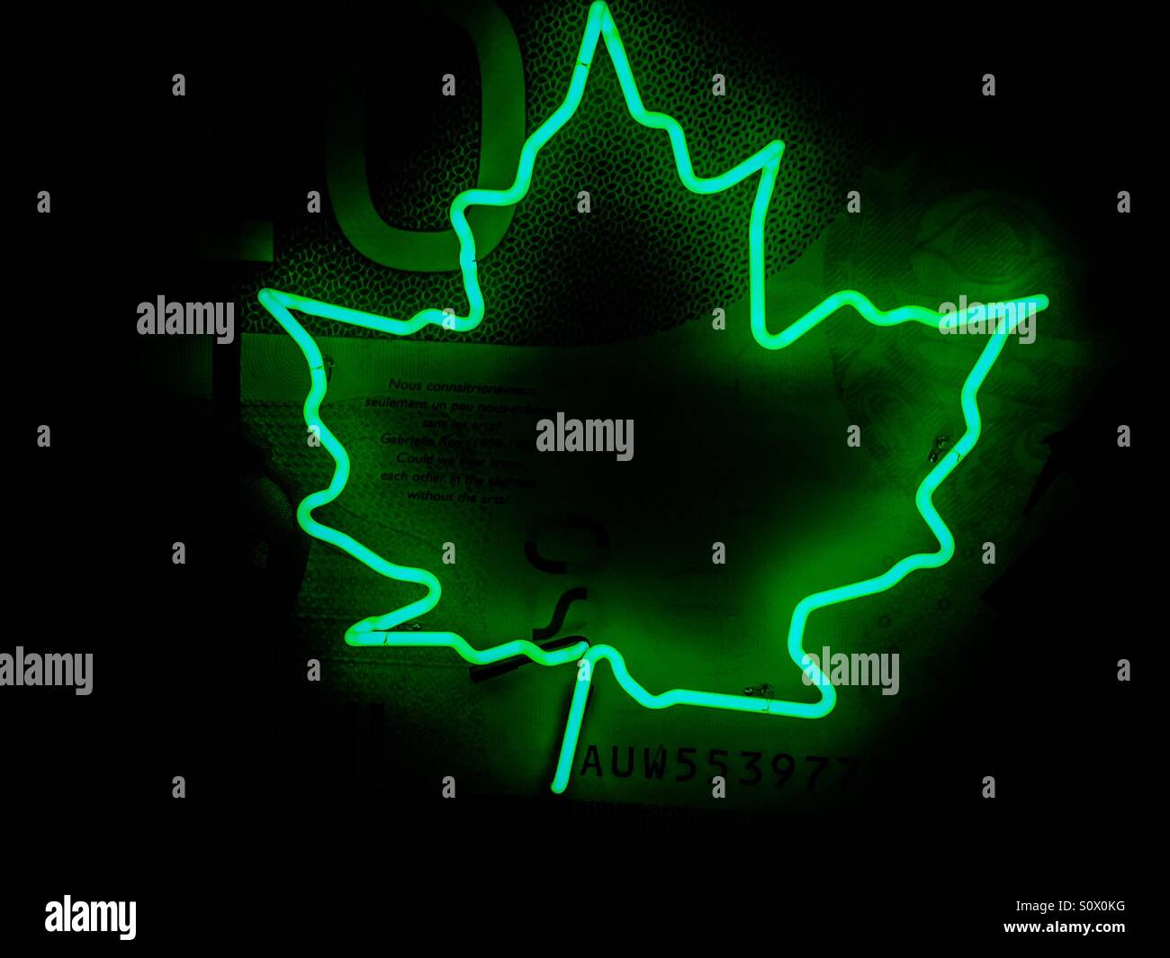 Feuille verte. Un rendu minimaliste. Juste le contour. Symbolisme : nature, vie, vie, renouveau, harmonie. Nuances de vert. Banque D'Images