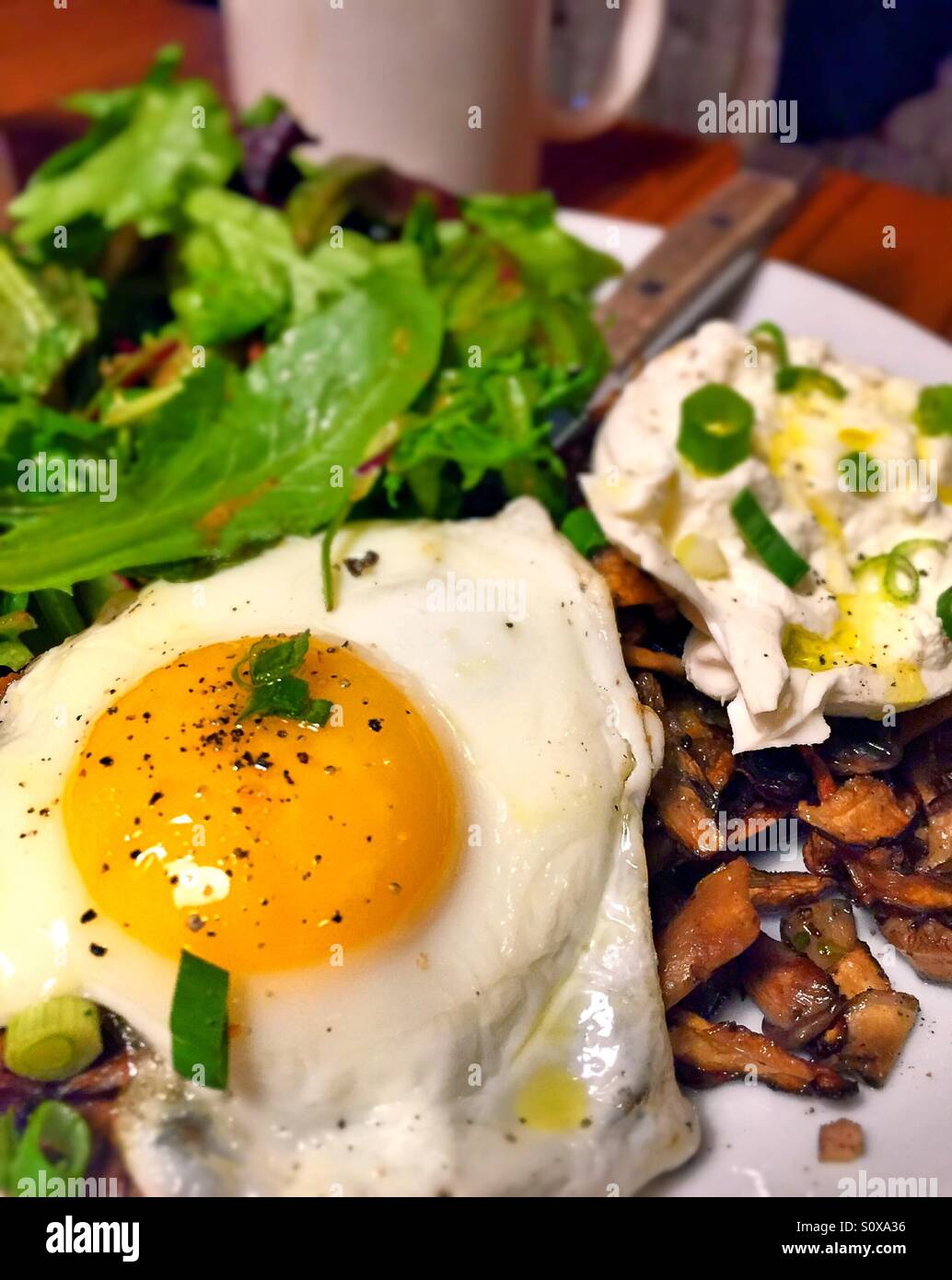 Un brunch animé plat de plus facile d'oeufs et de fromage et salade italienne pour faire une occasion festive NYC - Image de stock capturée avec un smartphone