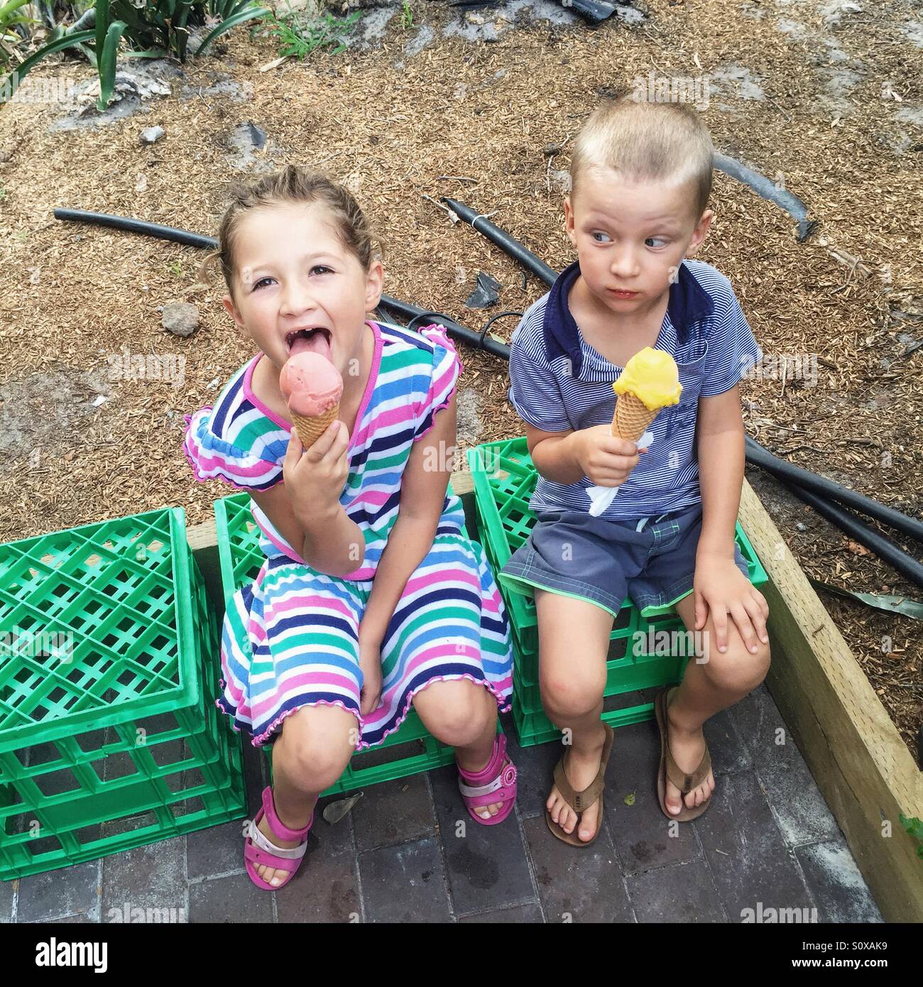 Petite fille et petit garçon eating ice cream Banque D'Images