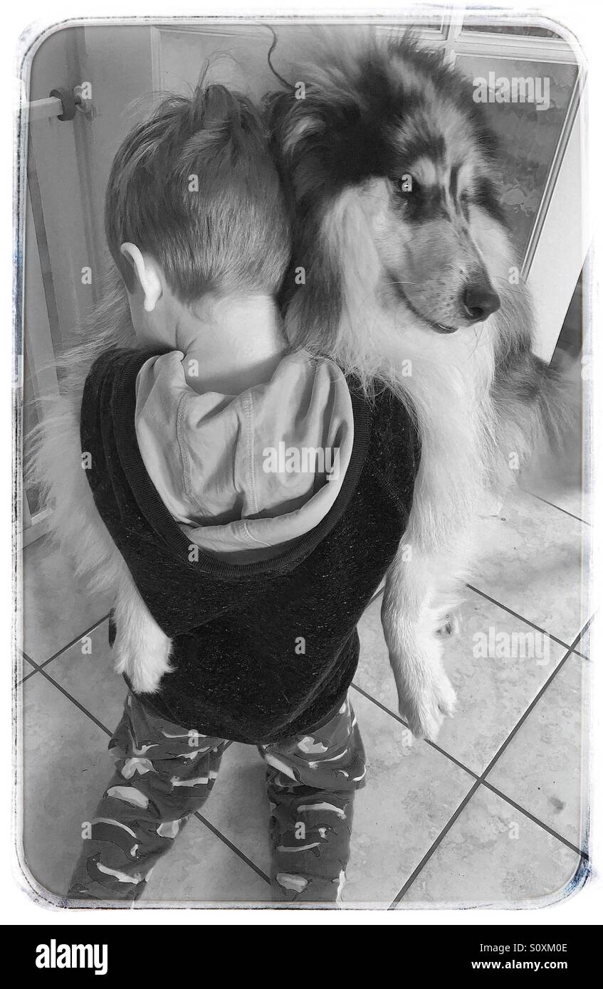 Boy hugging son chien. Banque D'Images