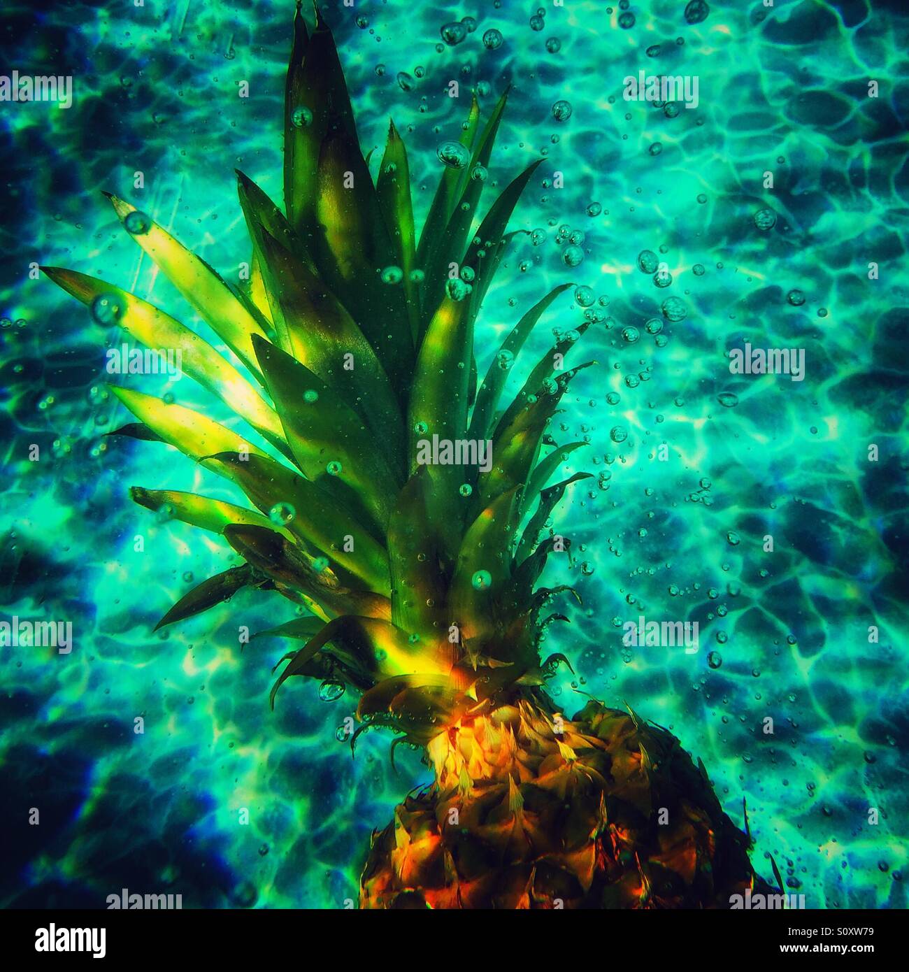 L'Ananas sous l'eau dans la piscine extérieure. - Image de stock capturée avec un smartphone