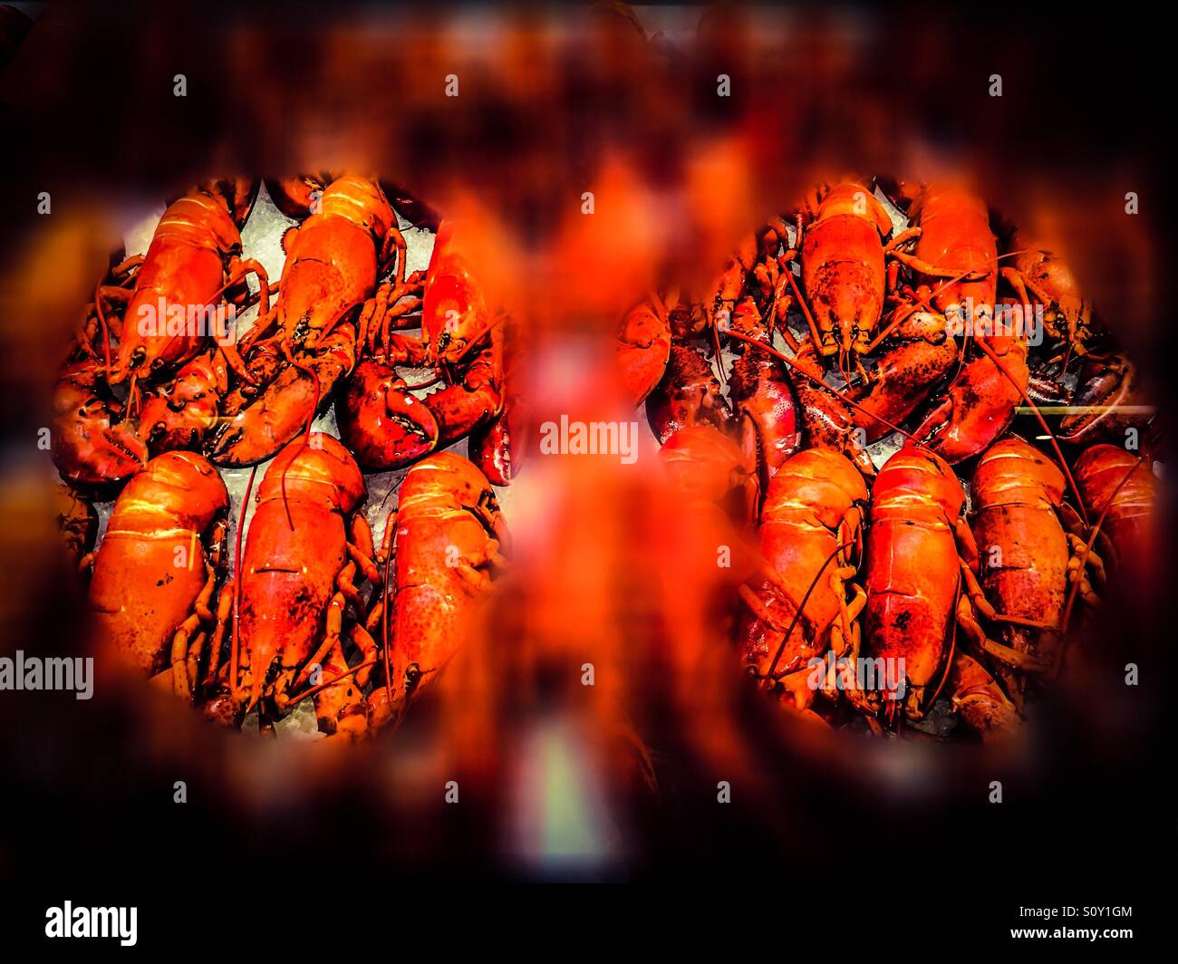 Deux séries de homards - Image de stock capturée avec un smartphone