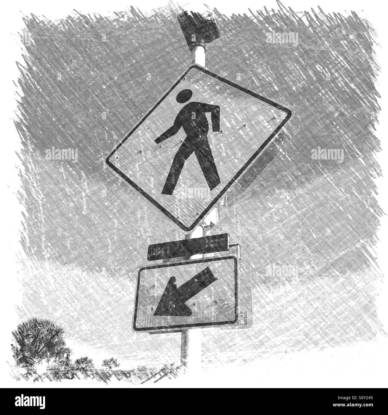 Passage pour piétons signer sur State Road A1A à Guana River State Park, Ponte Vedra Beach, Floride, USA. Banque D'Images