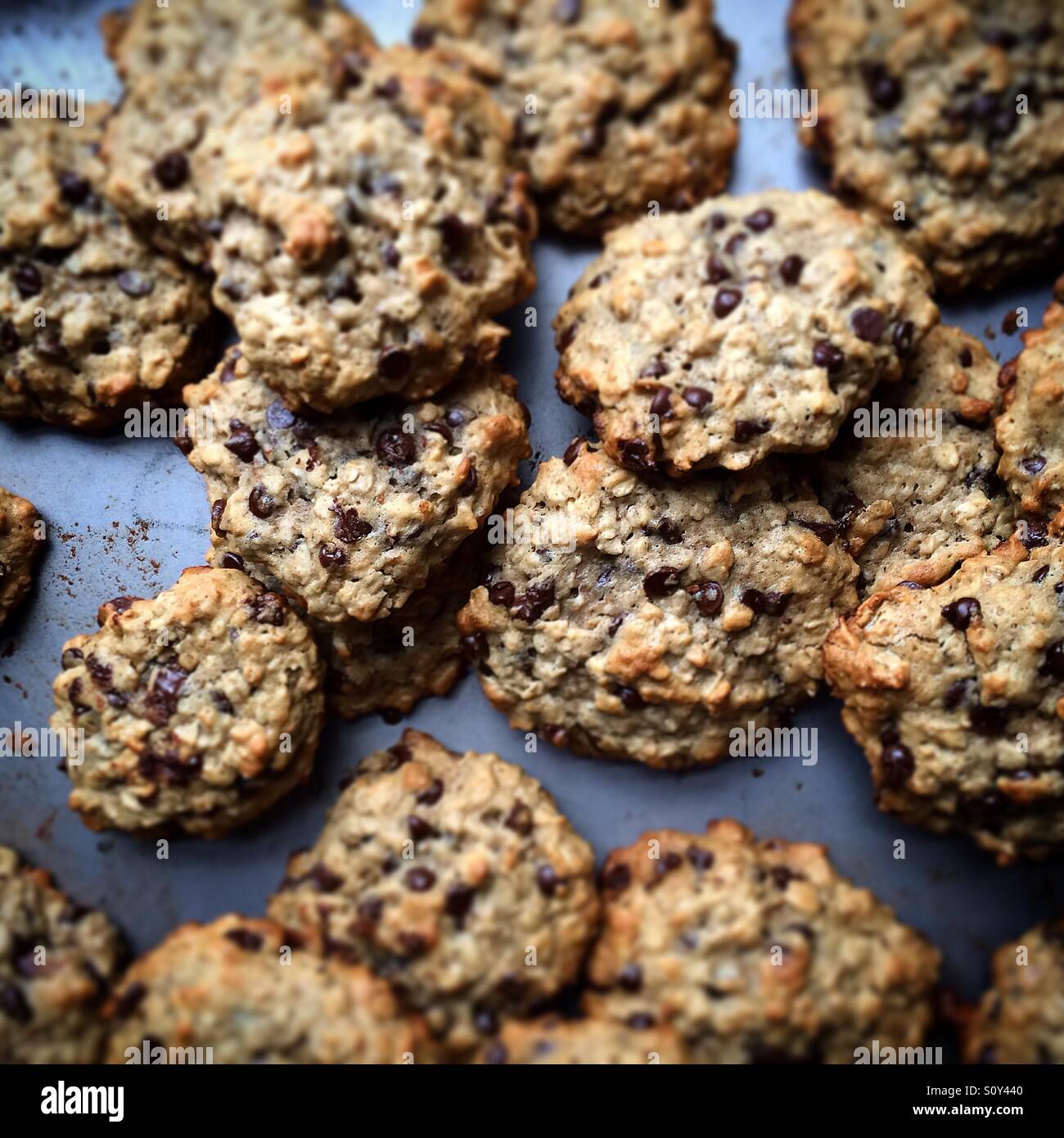 L'allaitement les cookies sur la plaque de cuisson Banque D'Images