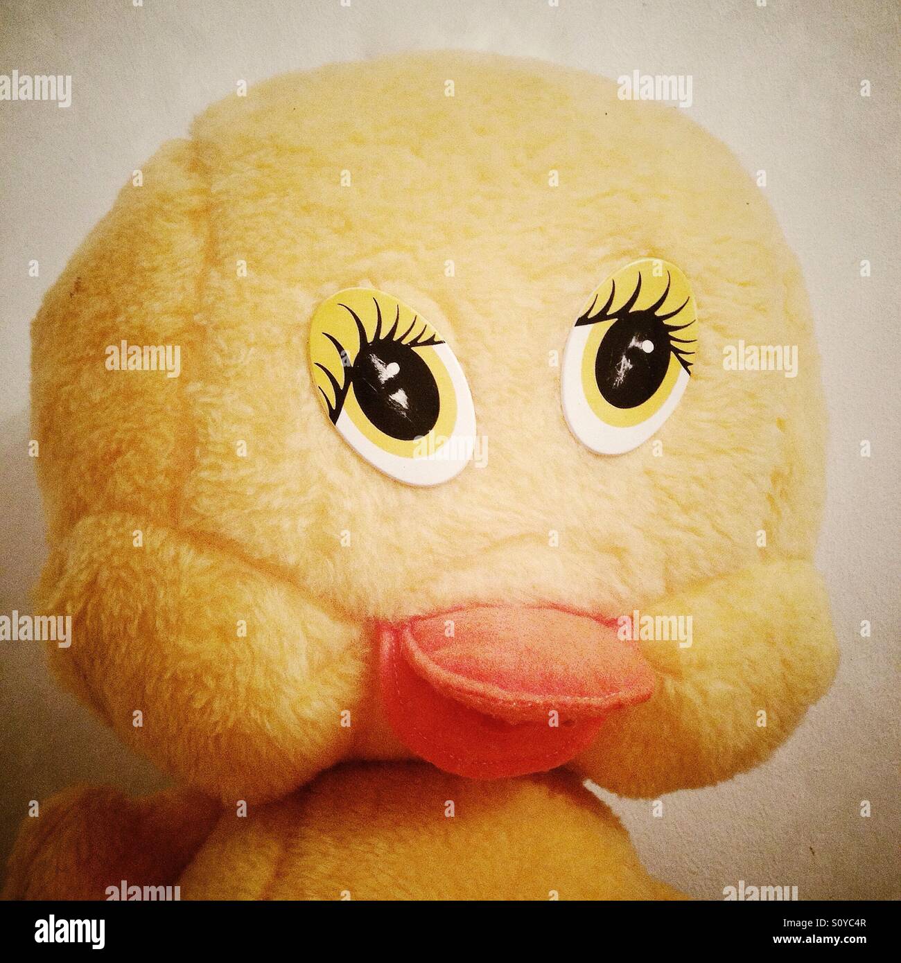 Peluche de poulet - Image de stock capturée avec un smartphone