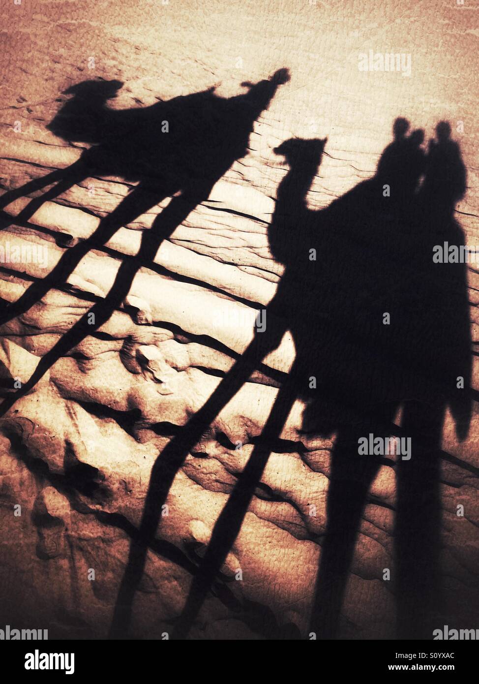 Ombre de touristes family riding deux chameaux dans le désert - Image de stock capturée avec un smartphone