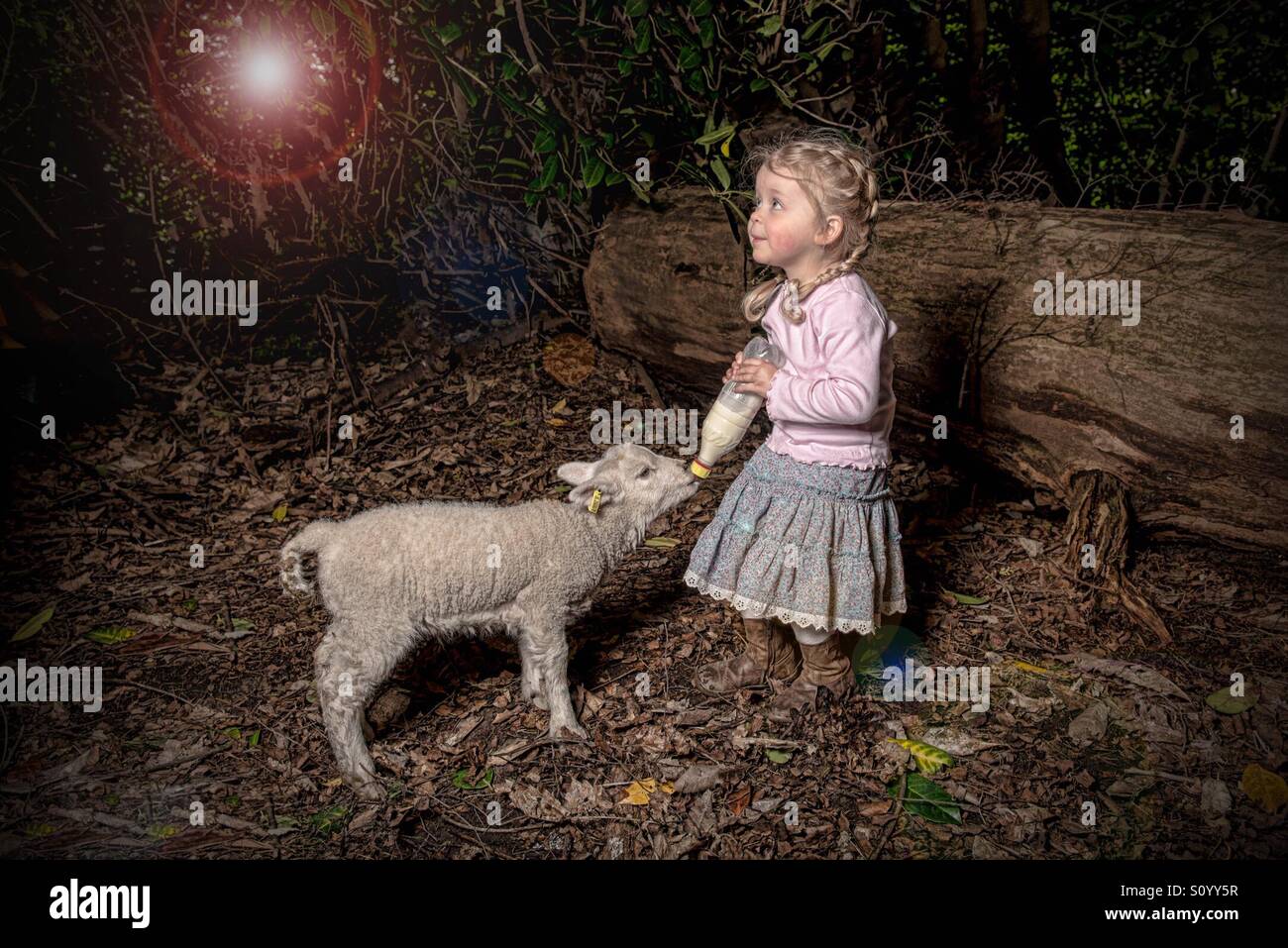 Agneau Bebe Petite Fille Pousse De Photo Photo Stock Alamy