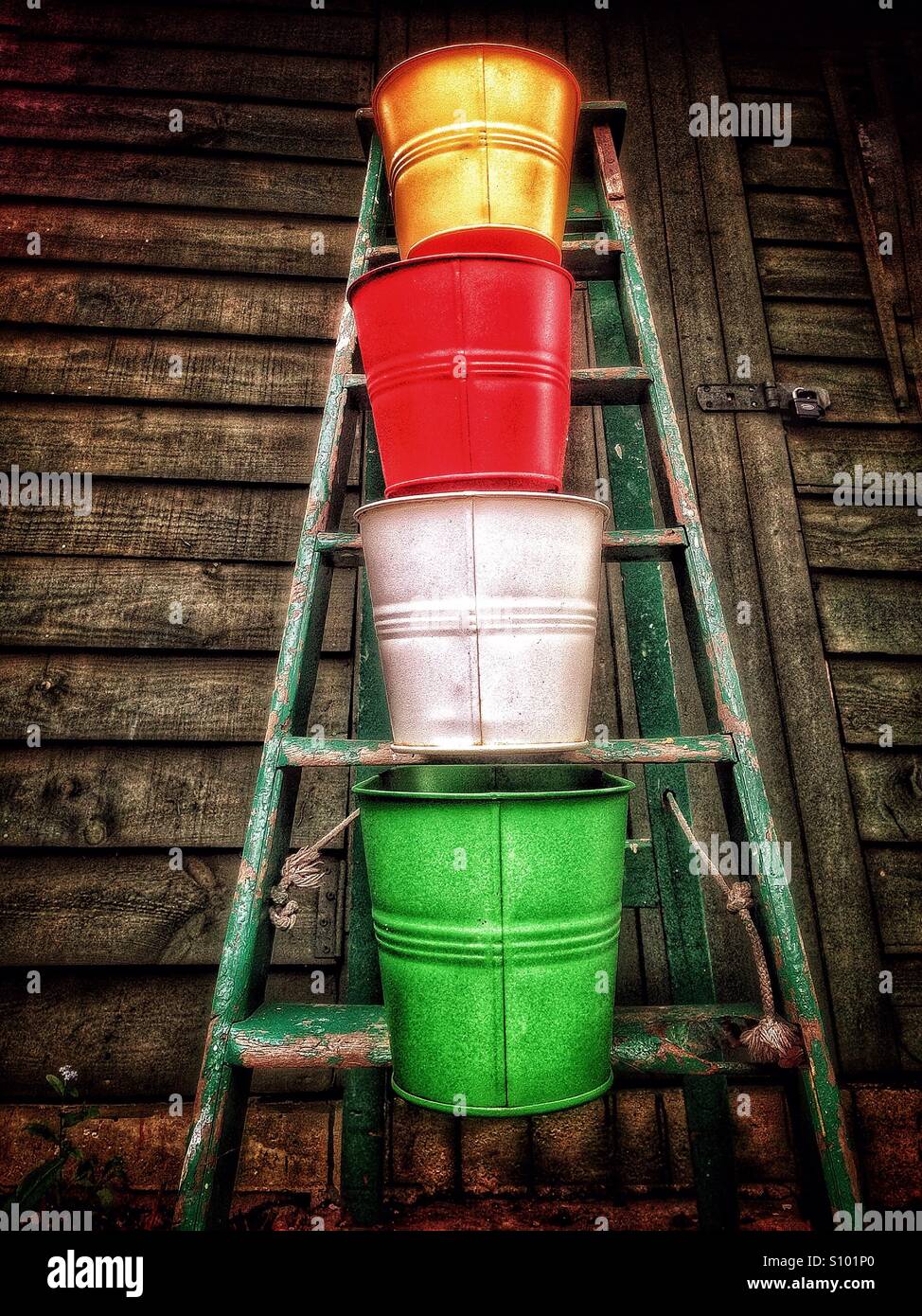 Pots de jardin coloré sur un escabeau. Banque D'Images