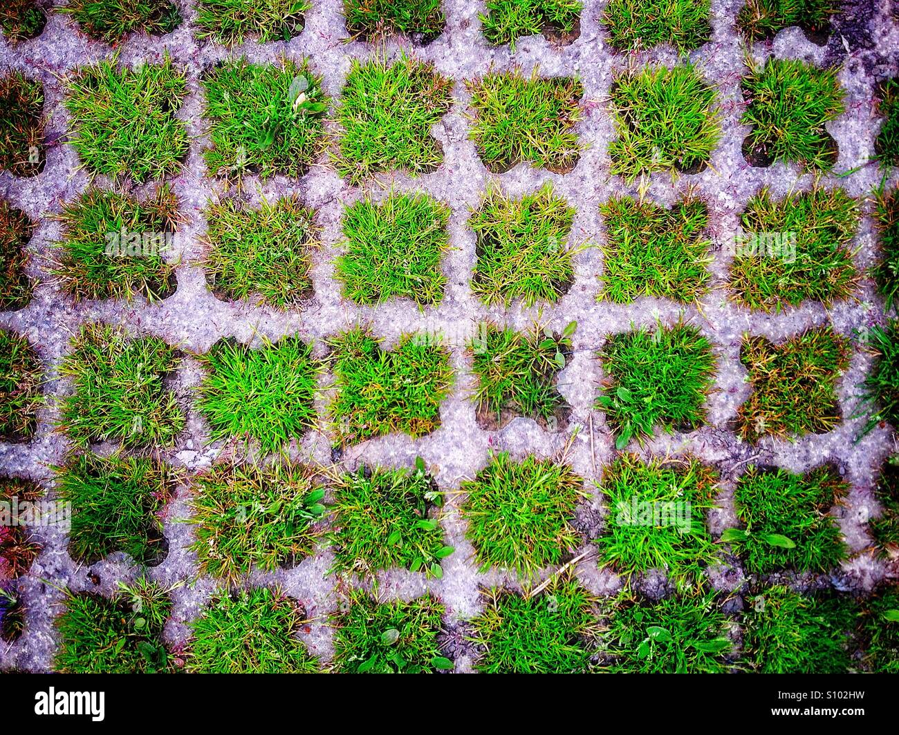 Grassy places Banque D'Images