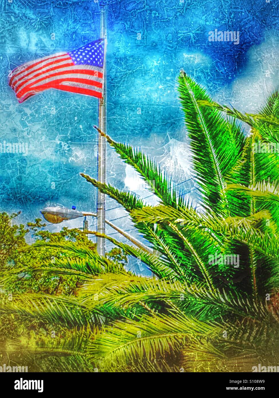 Drapeau américain parmi les palmiers Banque D'Images