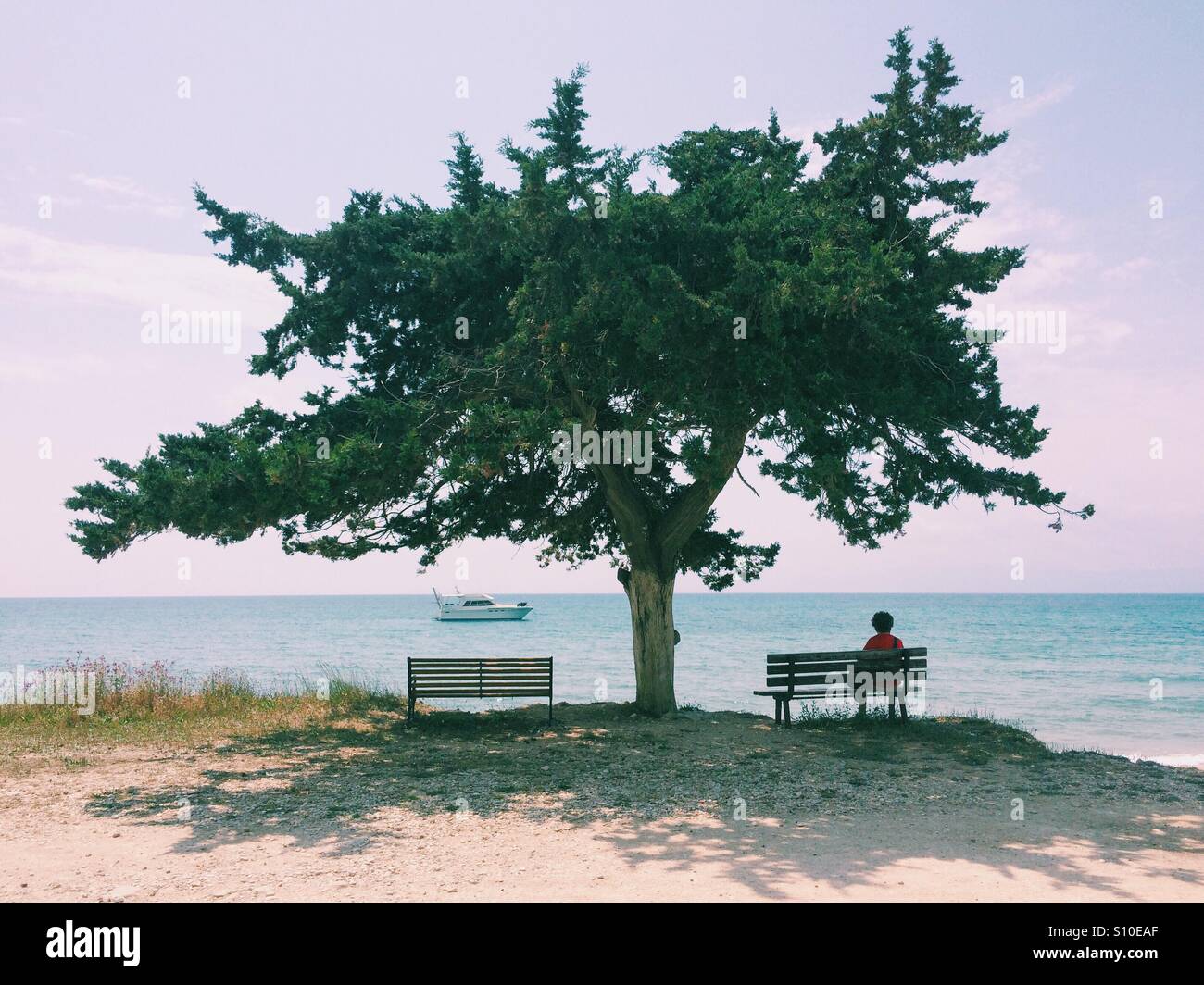 Un arbre sur la plage à katelios, Céphalonie, avec une femme assise sur un banc et un yacht dans l'arrière-plan. Banque D'Images