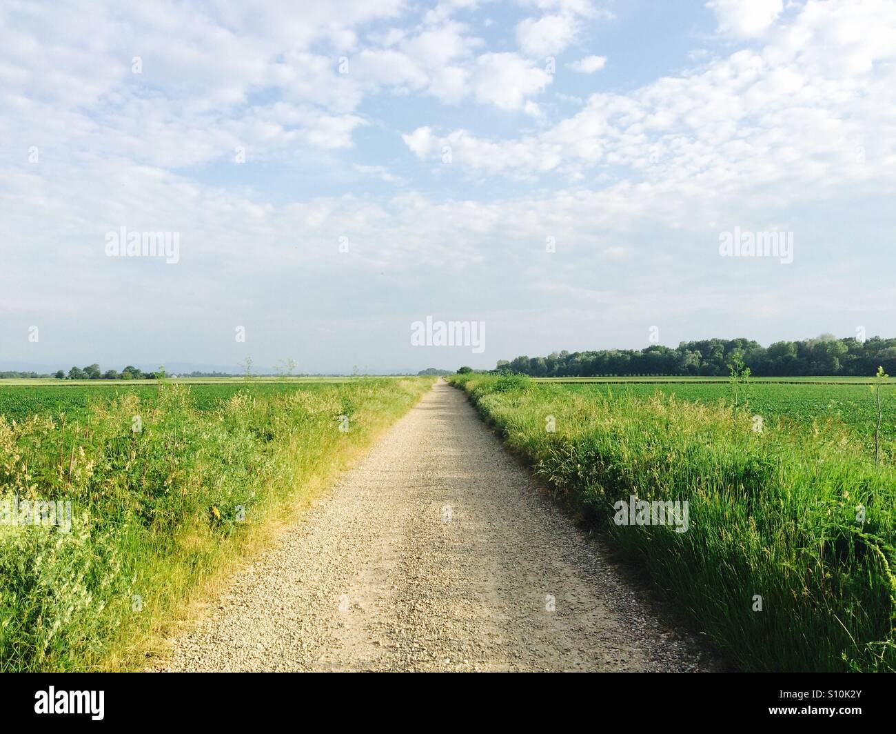 Route poussiéreuse et la belle nature Banque D'Images