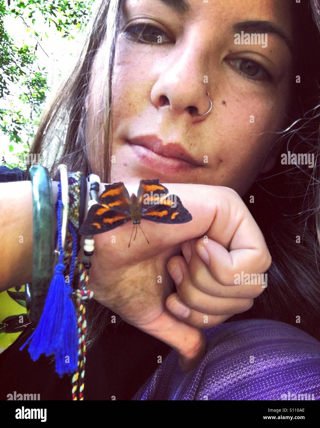 Papillon sur ma main Banque D'Images
