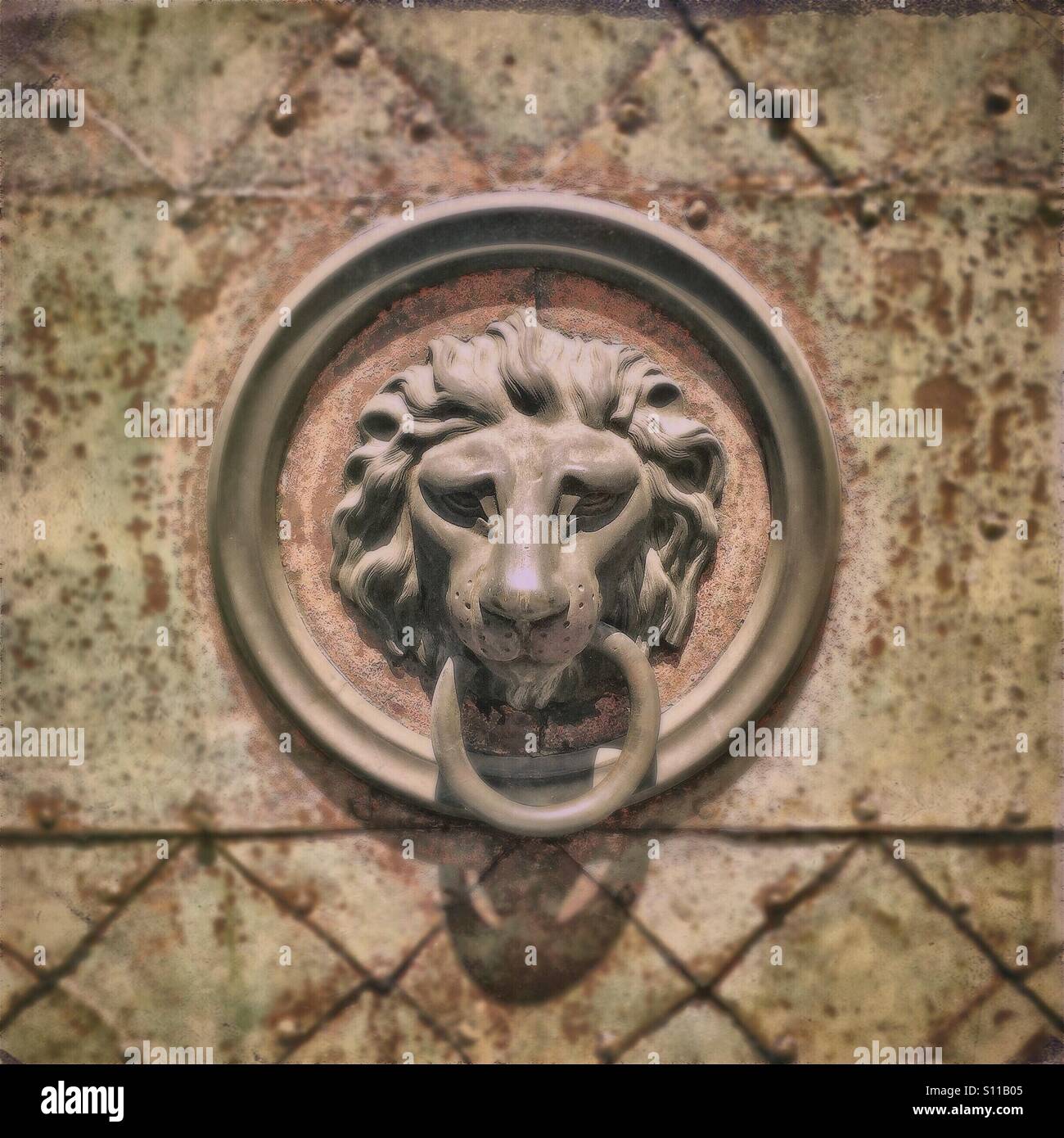Tête de Lion heurtoir - Image de stock capturée avec un smartphone