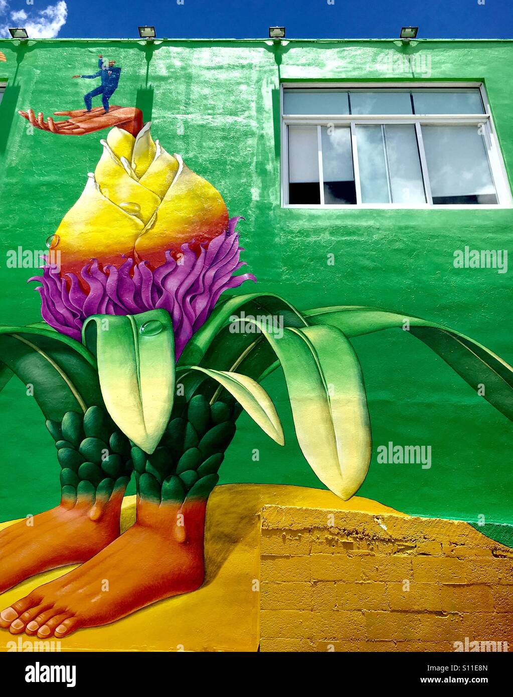 Dans les murs d'art art district Wynwood Miami Banque D'Images