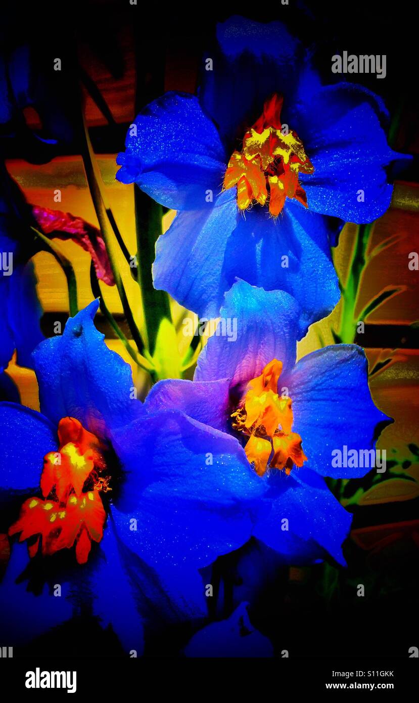 Jardin fleuri, Delphiniums - Image de stock capturée avec un smartphone