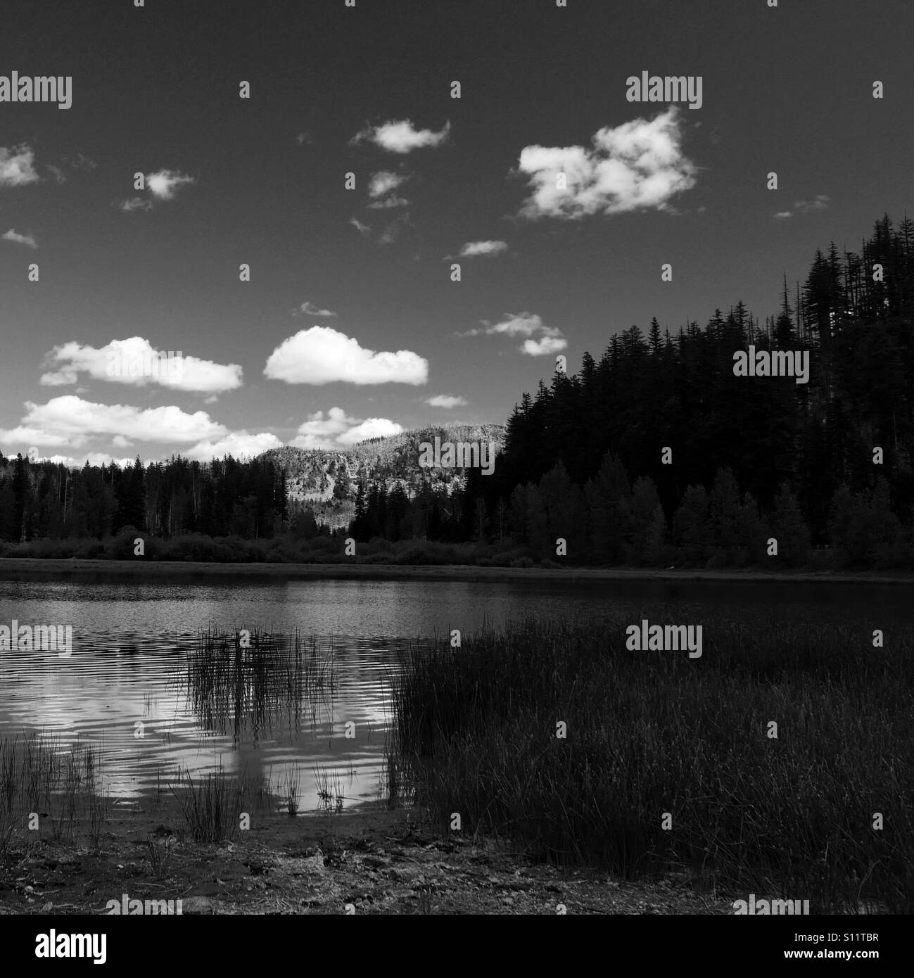 Un arrière-plan hill reste bien allumé pendant que le lac et forêt croître comme sombre soir fait son apparition. Banque D'Images