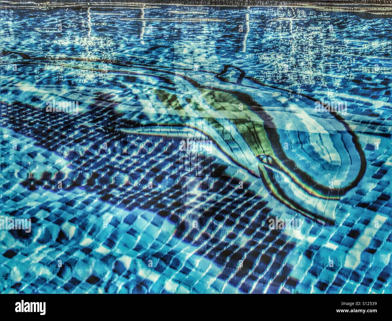 Mosaïque de dauphins dans une piscine Banque D'Images