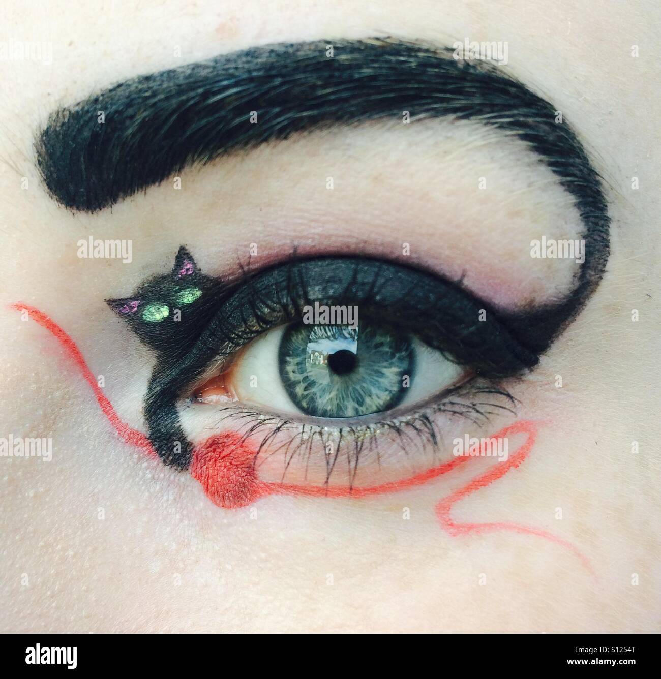 Maquillage des yeux de chat Banque de photographies et d'images à haute  résolution - Alamy