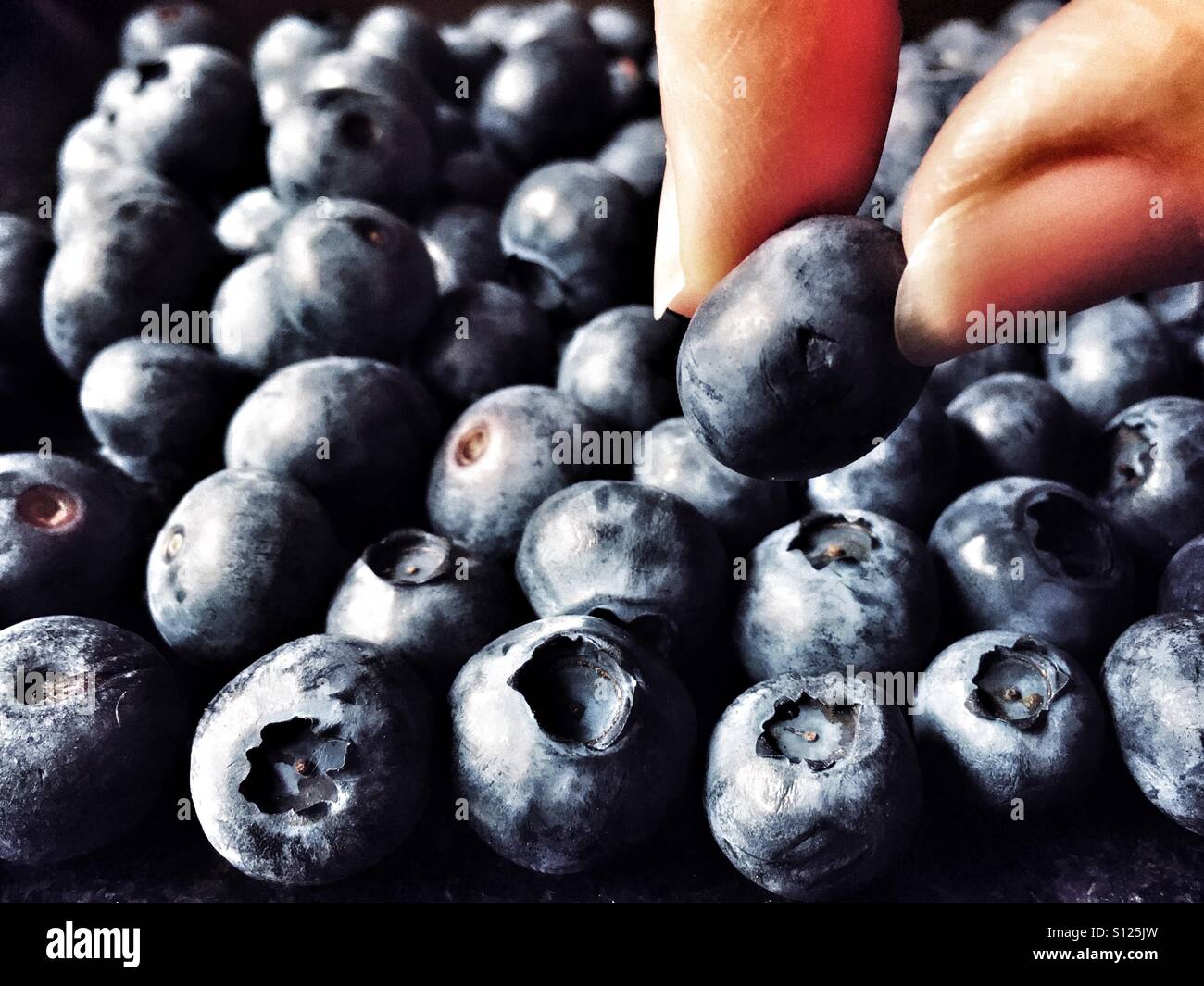 Le choix d'une myrtille - Image de stock capturée avec un smartphone